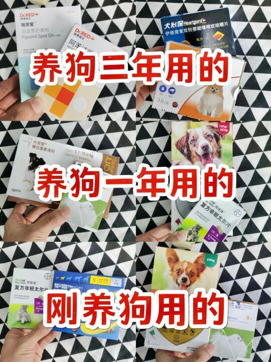 狗狗驱虫药大推荐✅你选对了吗！
