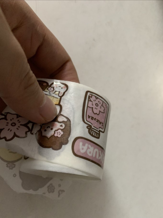 纸品