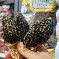 打工人的带饭日记，羊肚菌