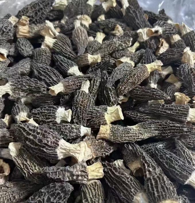 南北干货