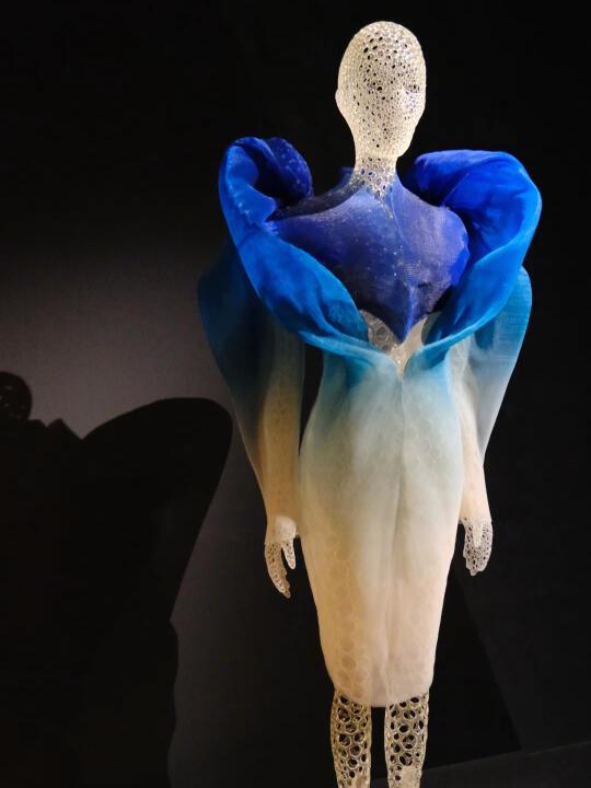 紫豪欧洲之旅🇫🇷 Iris van Herpen展²