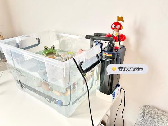 小龟好用物🧾