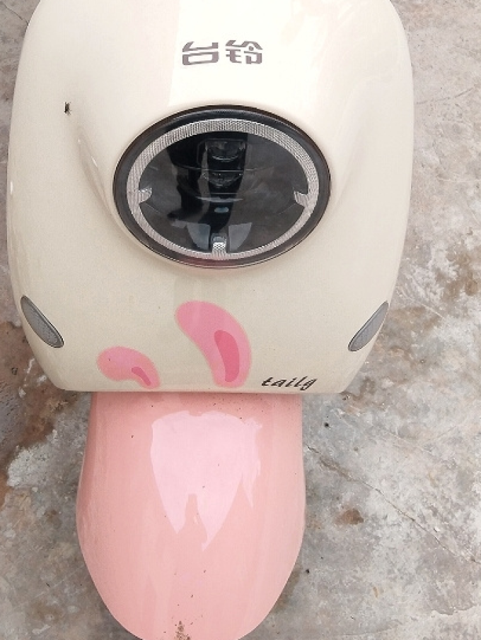 台铃电动车