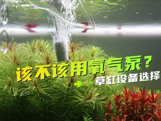 需要多大的泵？草缸正确的打氧方式