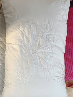 1春风里A类全棉蚕丝枕单人枕头枕芯家用成人枕芯亲肤蚕丝枕单只装