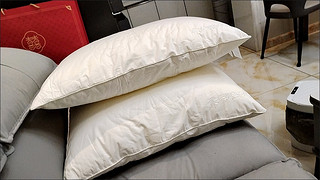 3春风里A类全棉蚕丝枕单人枕头枕芯家用成人枕芯亲肤蚕丝枕单只装