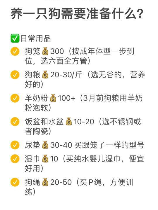 养一只狗需要准备什么？必备好物清单🧾