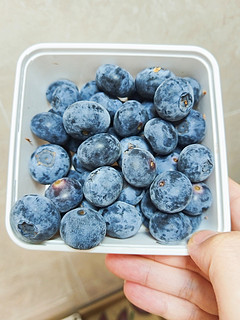 今天吃什么水果呢？蓝莓吧！