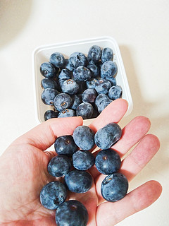 今天吃什么水果呢？蓝莓吧！