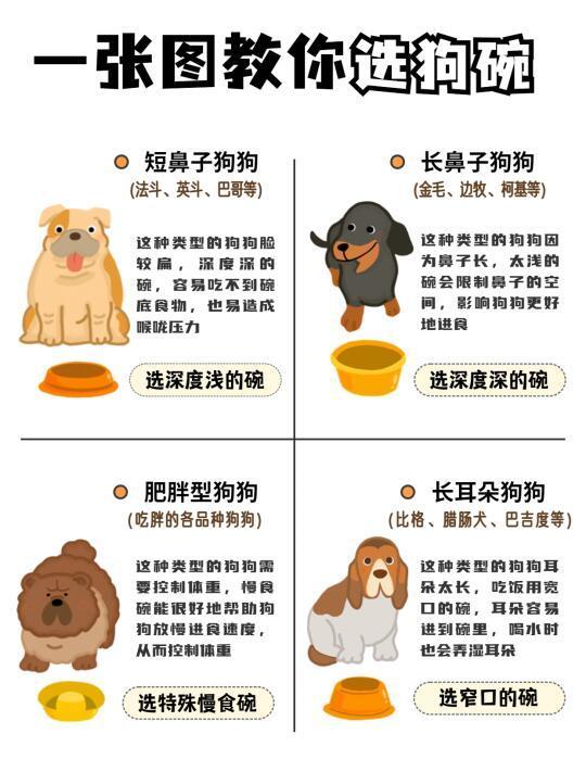 啥？选个狗碗还有讲究？新手养狗选碗篇