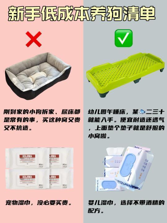 新手低成本养狗合集！不花冤枉钱！