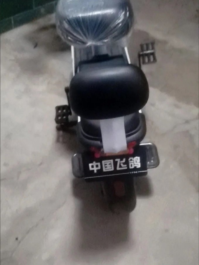 飞鸽电动车