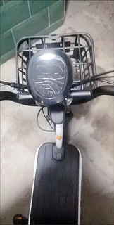 2 飞鸽新国标48V成人代步车小型电动自行车男女锂电瓶车两轮