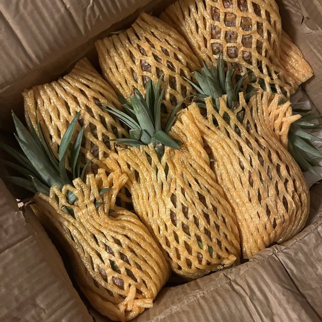 好吃的金钻凤梨