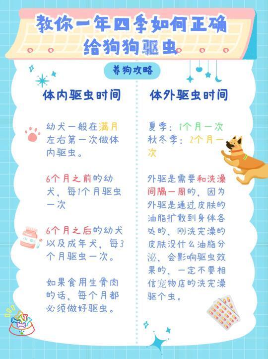 狗狗驱虫计划！每隔多久一次最科学？