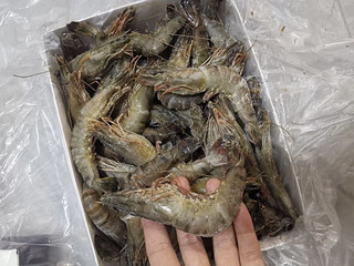 万景 国产活冻黑虎虾 净重1200g/盒 37-48只   家庭聚餐 海鲜生鲜