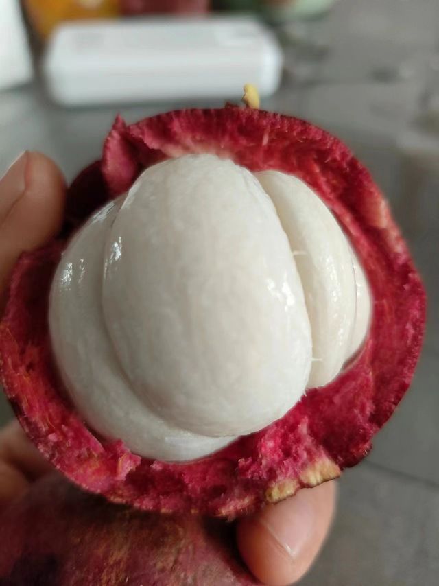 山竹果肉鲜嫩多汁,让人无法拒绝的诱惑!