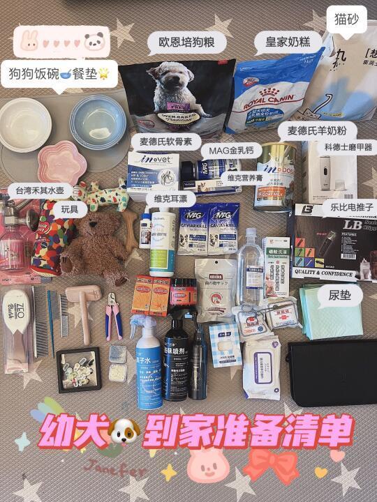 幼犬🐶狗狗到家准备/马尔济斯新手必备清单