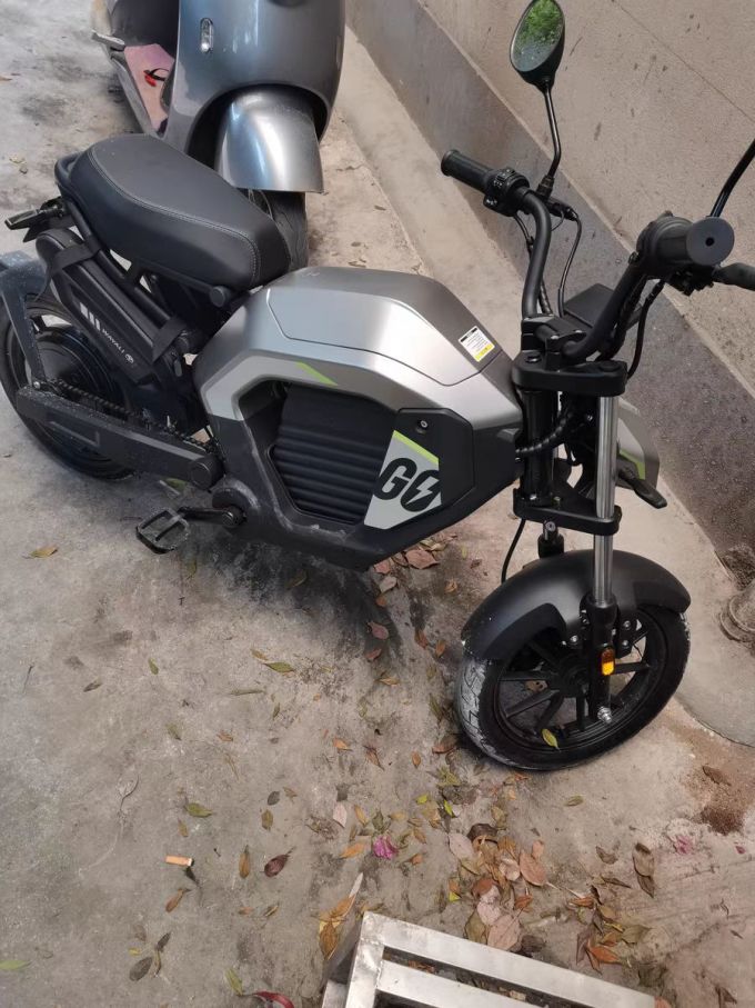 摩兽电动车整车
