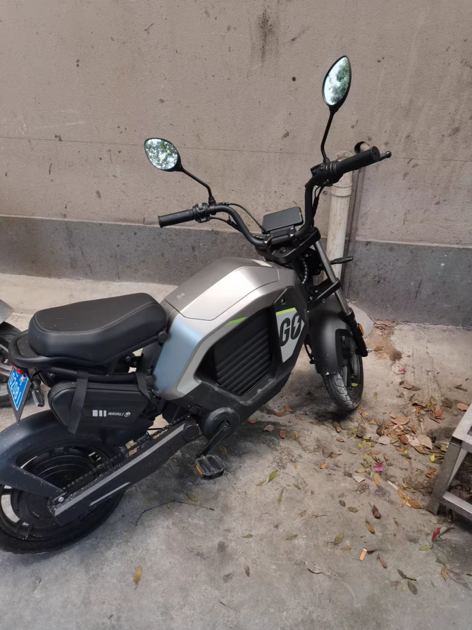 摩兽电动车整车