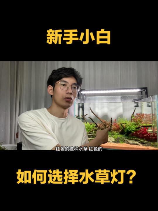 1.新手小白对于水草灯该如何选择？