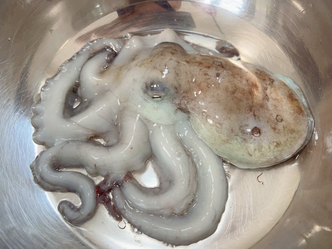 鲜喜利海鲜水产