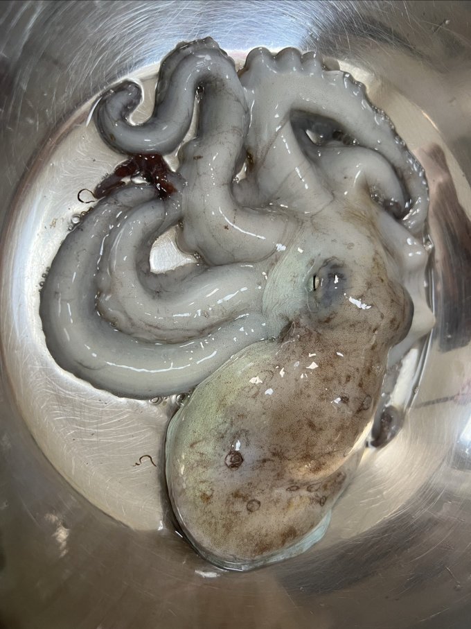 鲜喜利海鲜水产