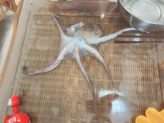 鲜喜利海鲜水产