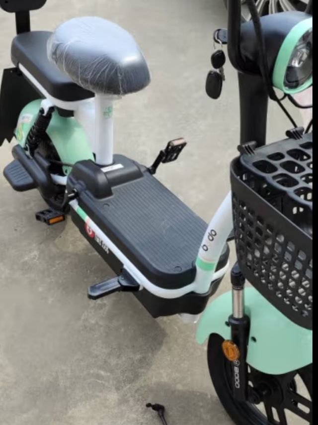 宝岛新国标电动车48V电动自行车小型代步电瓶车可上牌超长续航外卖车 源彩绿配20A超威/天能电池70公里