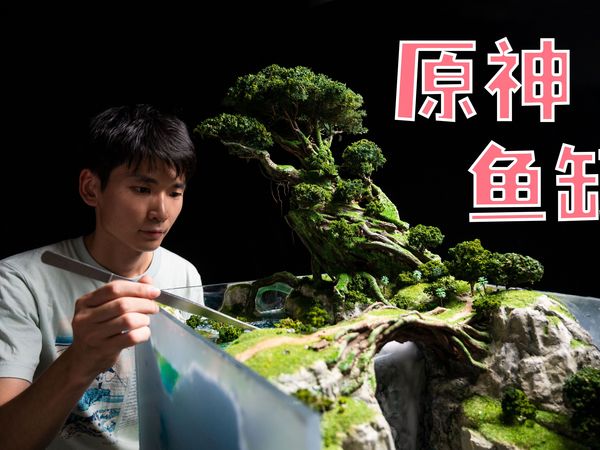 【王某某】在须弥养鱼，但是现实版！！