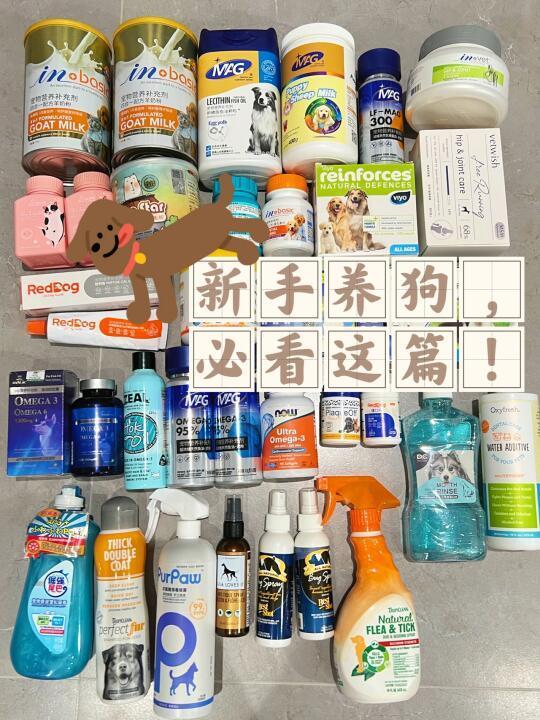 铲屎官必看的狗狗养护经验,看这篇就够了!