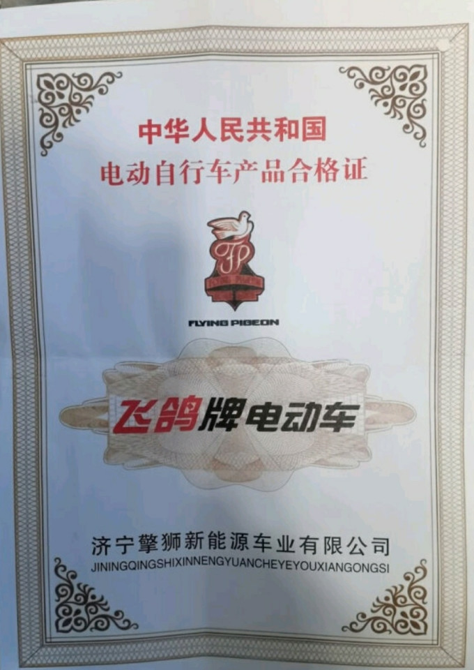 飞鸽电动,城市新潮流!