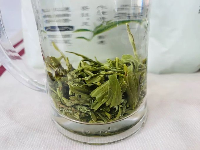 绿茶