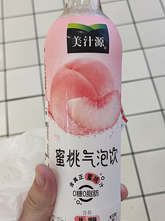 美汁源蜜桃气泡水 480ml