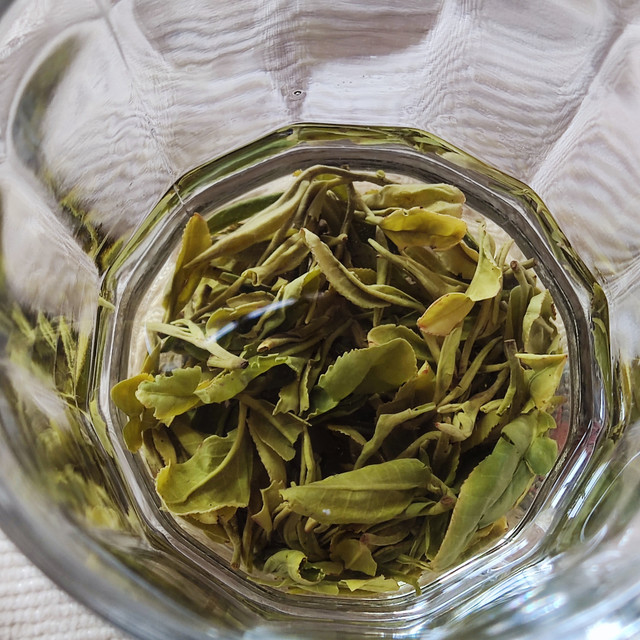 春天来了，泡一杯绿茶吧