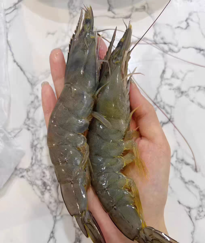 海鲜水产