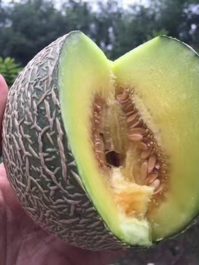 京鲜生新鲜水果