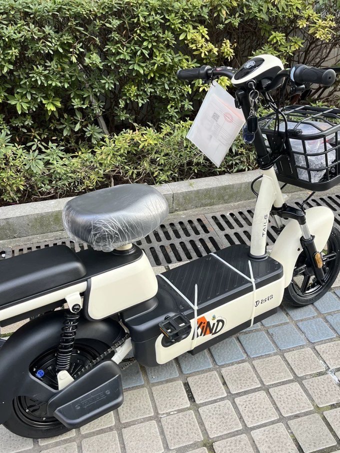台铃电动车整车