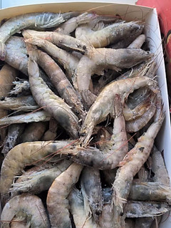 万景北海鲜冻白虾国产白虾 净重4斤 100-120只 大虾对虾 海鲜