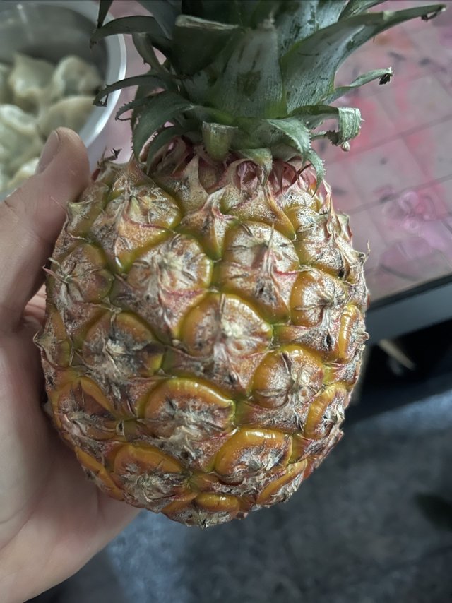 这个小凤梨真的是不错的……