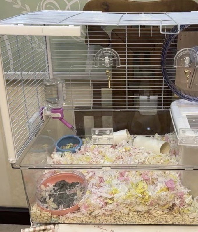 现在小鼠子更加喜欢洗澡了 67 淘宝精选 仓鼠洗澡超大号浴盆透