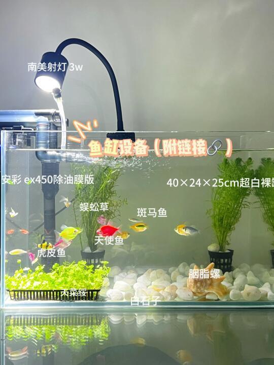 你们要的全套鱼缸设备来喽！