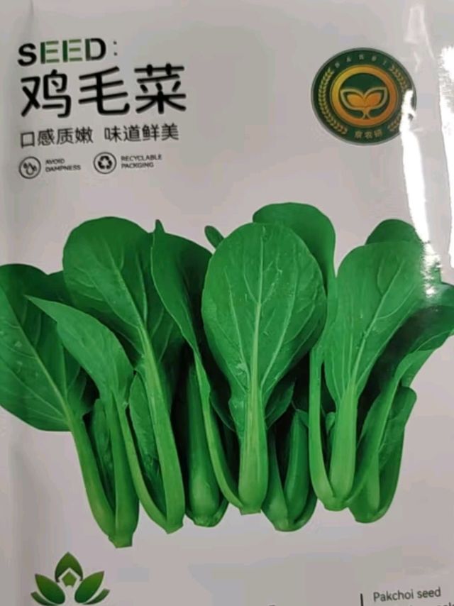 夏天该吃点鸡毛菜