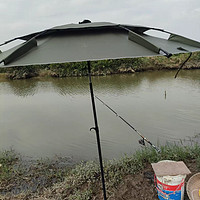 一蓑烟雨任平生