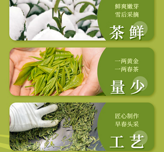 春天就暍绿茶