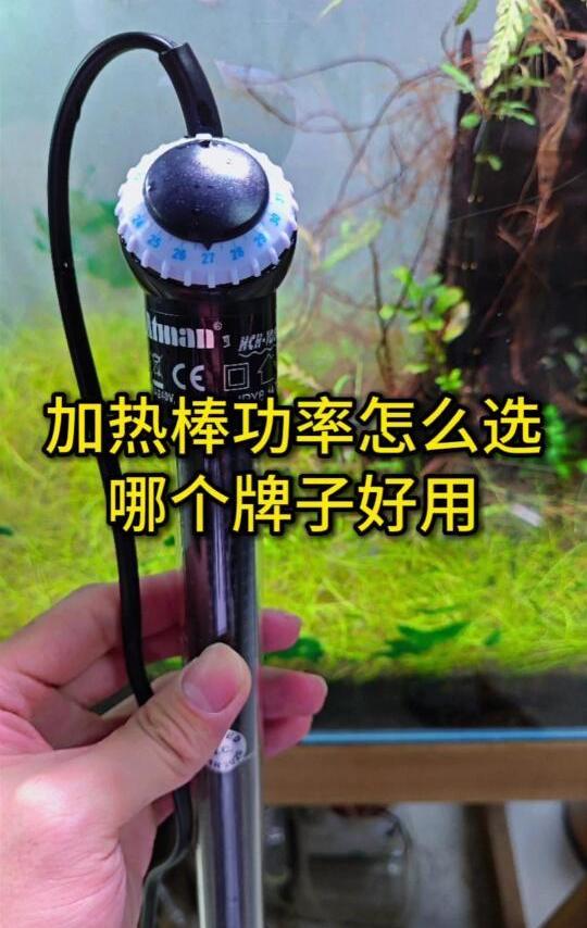 鱼缸加热棒瓦数怎么选？哪个牌子质量好