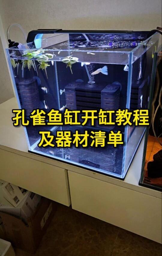 孔雀鱼缸开缸教程，及详细器材清单