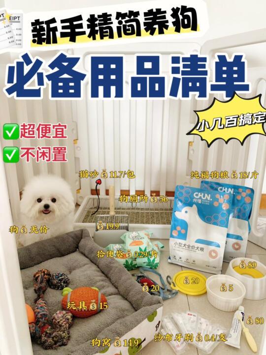 新手精简养狗必备用品❗️不花冤枉钱✅附清单