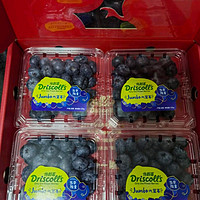 怡颗莓Driscolls云南蓝莓Jumbo超大果18mm+ 4盒礼盒装 125g/盒