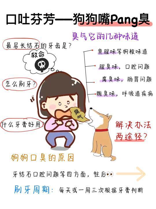 我的狗狗嘴巴太臭了怎么办